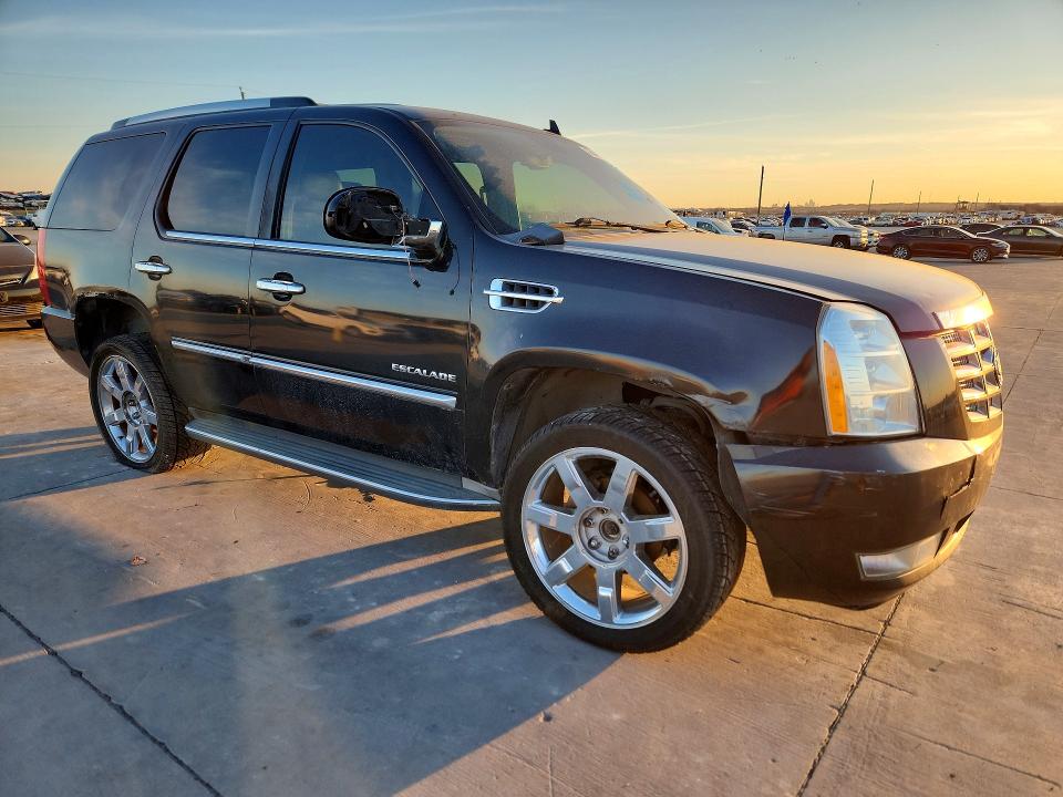 76487565 :رقم المزاد ، 1GYUKAEF5AR249769 vin ، 2010 Cadillac Escalade مزاد بيع