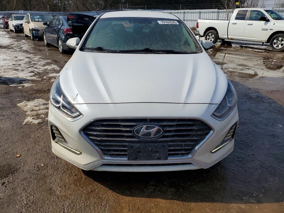 79163535 :رقم المزاد ، 5NPE24AF6KH789528 vin ، 2019 Hyundai Sonata مزاد بيع