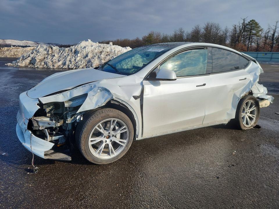 Продажа на аукционе авто 2023 Tesla Model Y, vin: 7SAYGDEE3PA193119, номер лота: 76892035