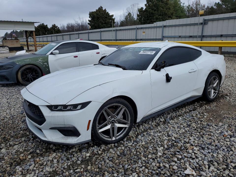 Продаж на аукціоні авто 2024 Ford Mustang, vin: 1FA6P8TH4R5118970, номер лоту: 75022715