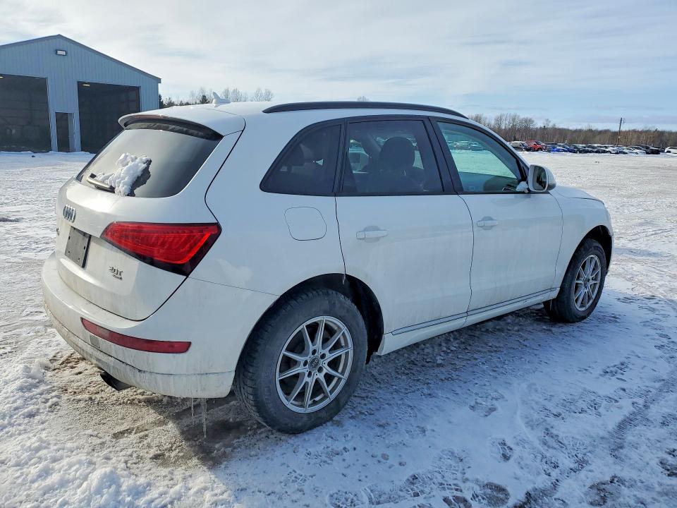 78406625 :رقم المزاد ، WA1CFCFP7DA063298 vin ، 2013 Audi Q5 مزاد بيع