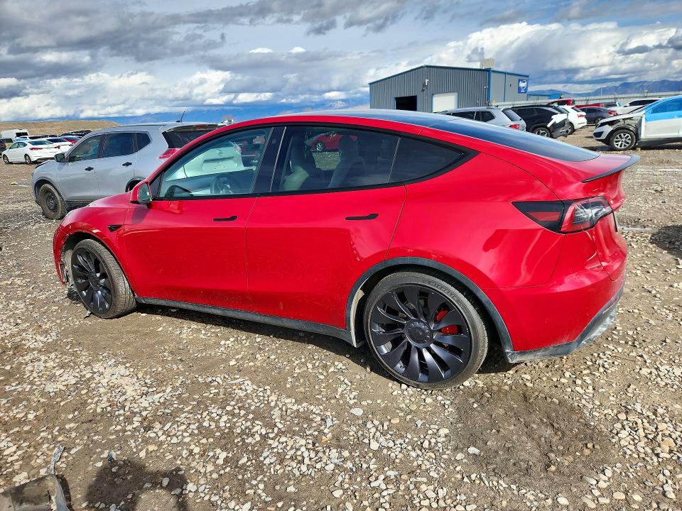Продаж на аукціоні авто 2023 Tesla Model Y, vin: 7SAYGDEF6PF779776, номер лоту: 77893705