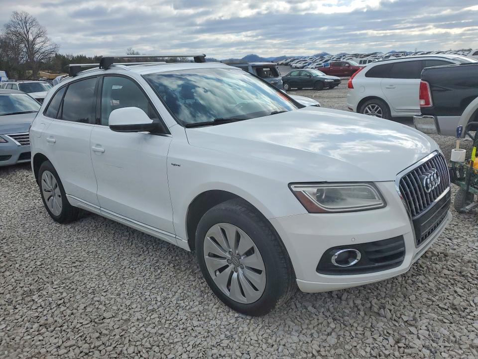 Продаж на аукціоні авто 2013 Audi Q5, vin: WA1C8AFP4DA006409, номер лоту: 77797925