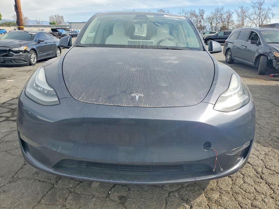 Продаж на аукціоні авто 2023 Tesla Model Y, vin: 7SAYGDEE3PF605039, номер лоту: 74636925