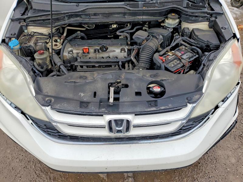 77082355 :رقم المزاد ، 5J6RE4H54AL804926 vin ، 2010 Honda Cr-v مزاد بيع