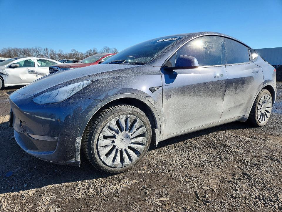2021 Tesla Model Y მანქანა იყიდება აუქციონზე, vin: 5YJYGDEE0MF185569, აუქციონის ნომერი: 77391055