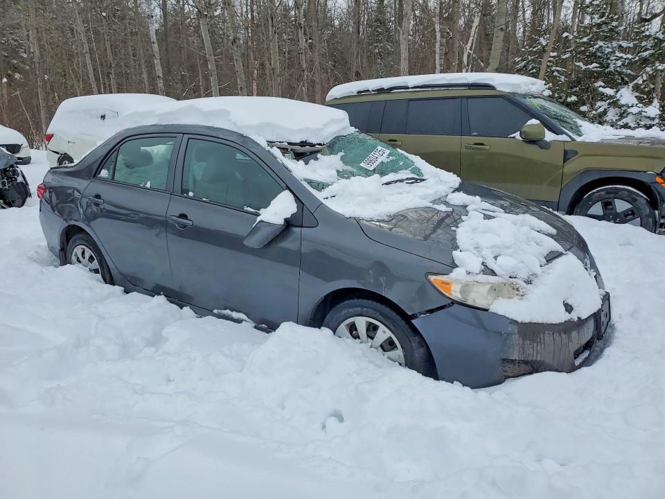 2010 Toyota Corolla მანქანა იყიდება აუქციონზე, vin: 2T1BU4EE8AC229588, აუქციონის ნომერი: 99804125