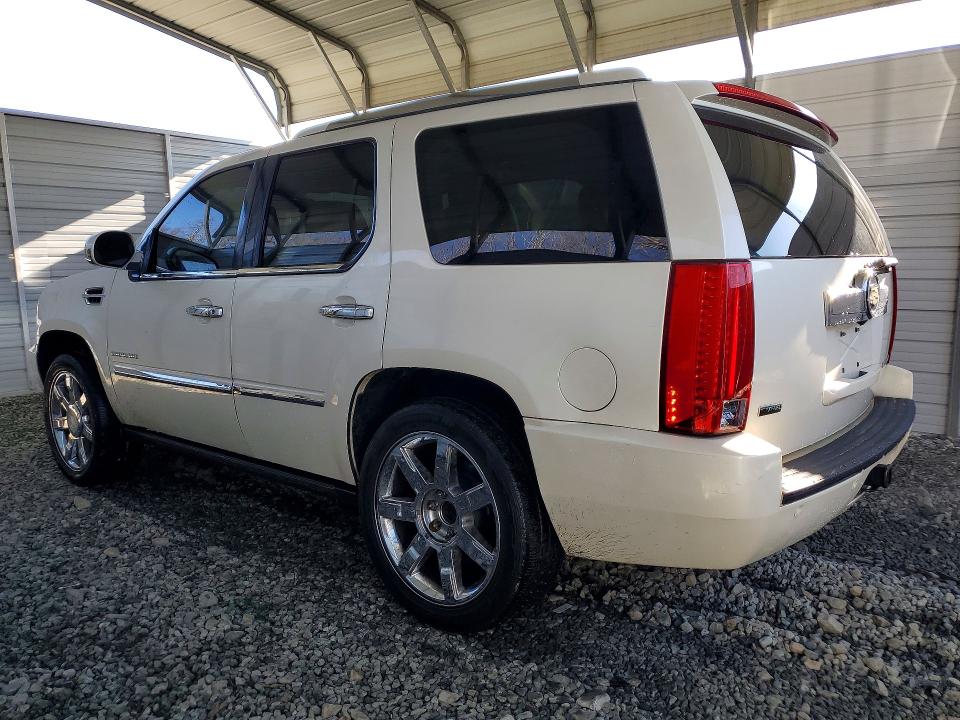 Продаж на аукціоні авто 2011 Cadillac Escalade, vin: 1GYS3CEF5BR103079, номер лоту: 73783835