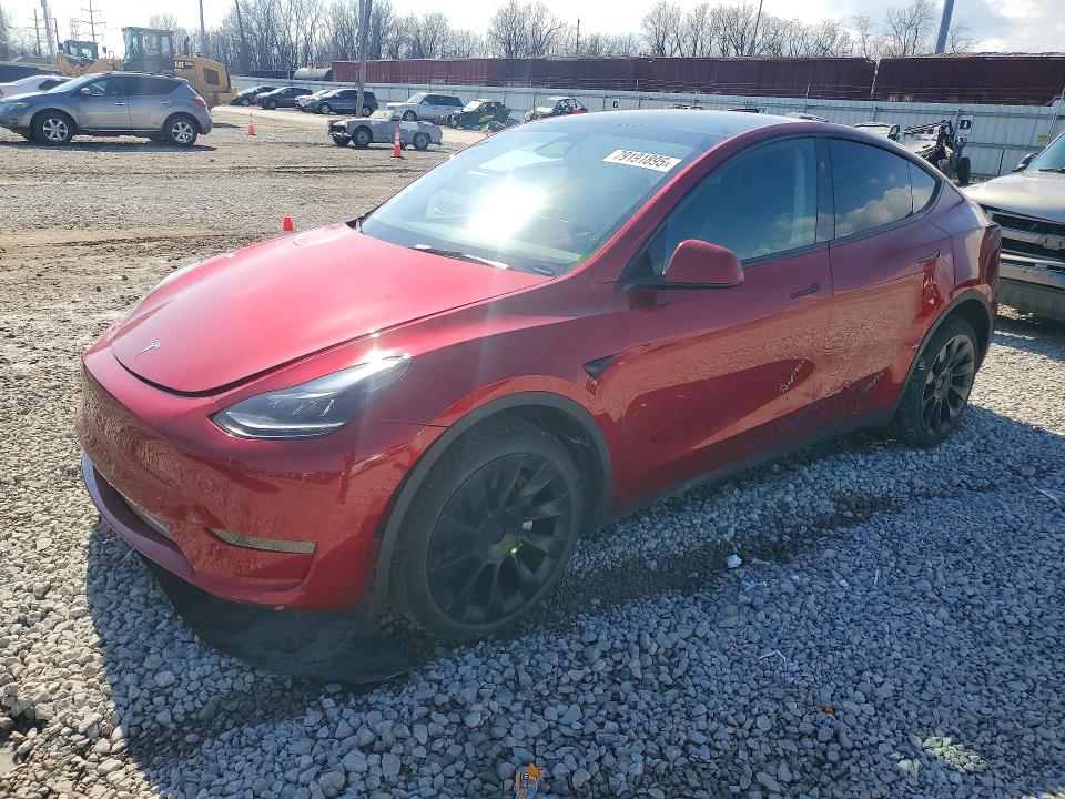 Продажа на аукционе авто 2024 Tesla Model Y, vin: 7SAYGDEE8RA295342, номер лота: 79191895