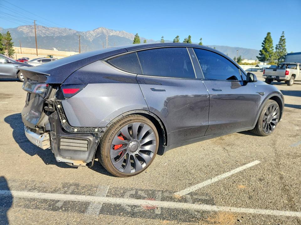 Продаж на аукціоні авто 2024 Tesla Model Y, vin: 7SAYGDEF3RF089972, номер лоту: 75368685