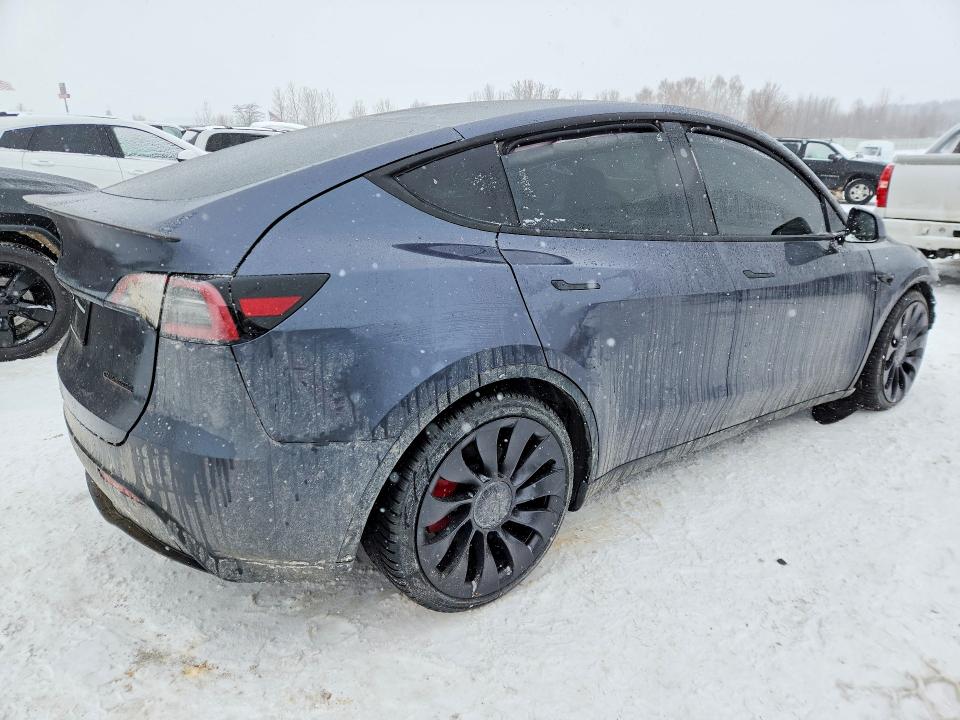 Aukcja sprzedaży 2023 Tesla Model Y, vin: 7SAYGDEF8PF948227, numer aukcji: 76052455