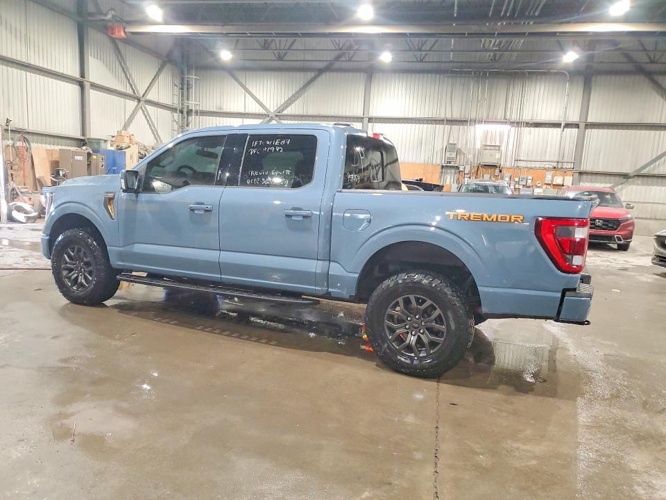 Продаж на аукціоні авто 2023 Ford F150, vin: 1FTEW1E87PFC81942, номер лоту: 75396665