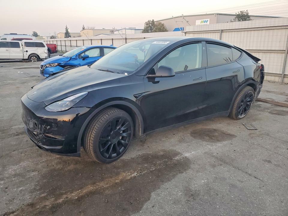Продажа на аукционе авто 2024 Tesla Model Y, vin: 7SAYGDED0RF095193, номер лота: 74507055