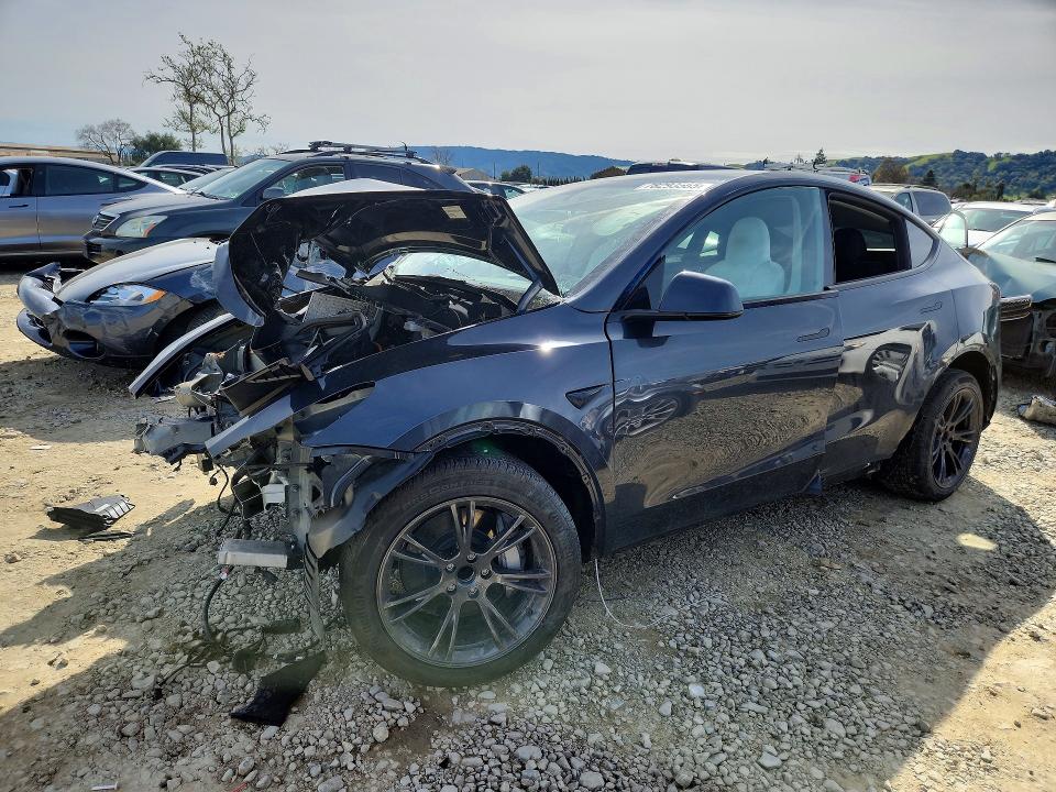 Auction sale of the 2025 Tesla Model Y, vin: 7SAYGDED8SF262924, lot number: 78293565