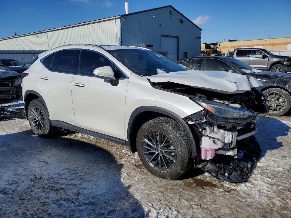 Auction sale of the 2024 Lexus Nx, vin: 2T2GGCEZ2RC035611, lot number: 74775445