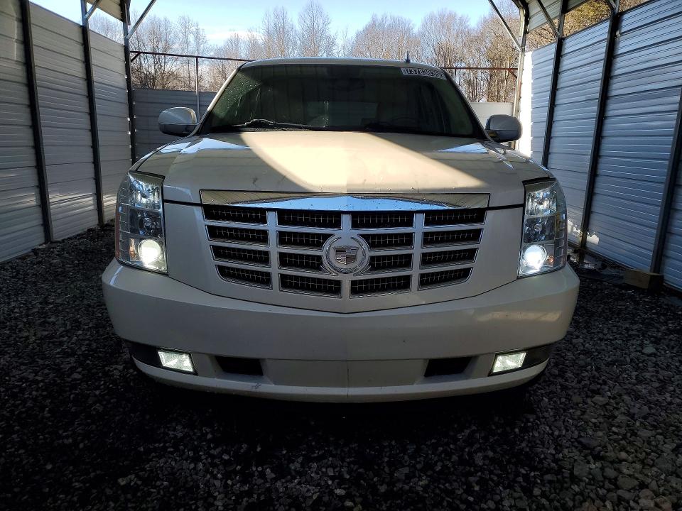 Продаж на аукціоні авто 2011 Cadillac Escalade, vin: 1GYS3CEF5BR103079, номер лоту: 73783835