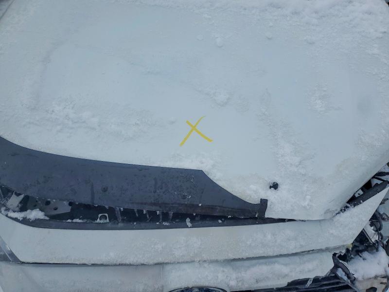 2024 Toyota Rav4 მანქანა იყიდება აუქციონზე, vin: 2T35WRFV9RW196850, აუქციონის ნომერი: 77193845