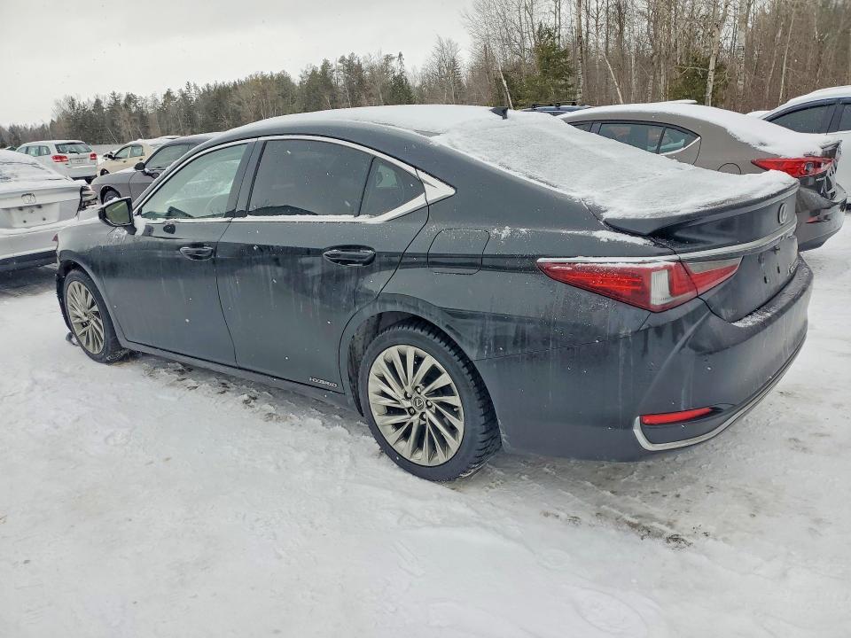 2019 Lexus Es მანქანა იყიდება აუქციონზე, vin: JTHB21B10K2011147, აუქციონის ნომერი: 75870985