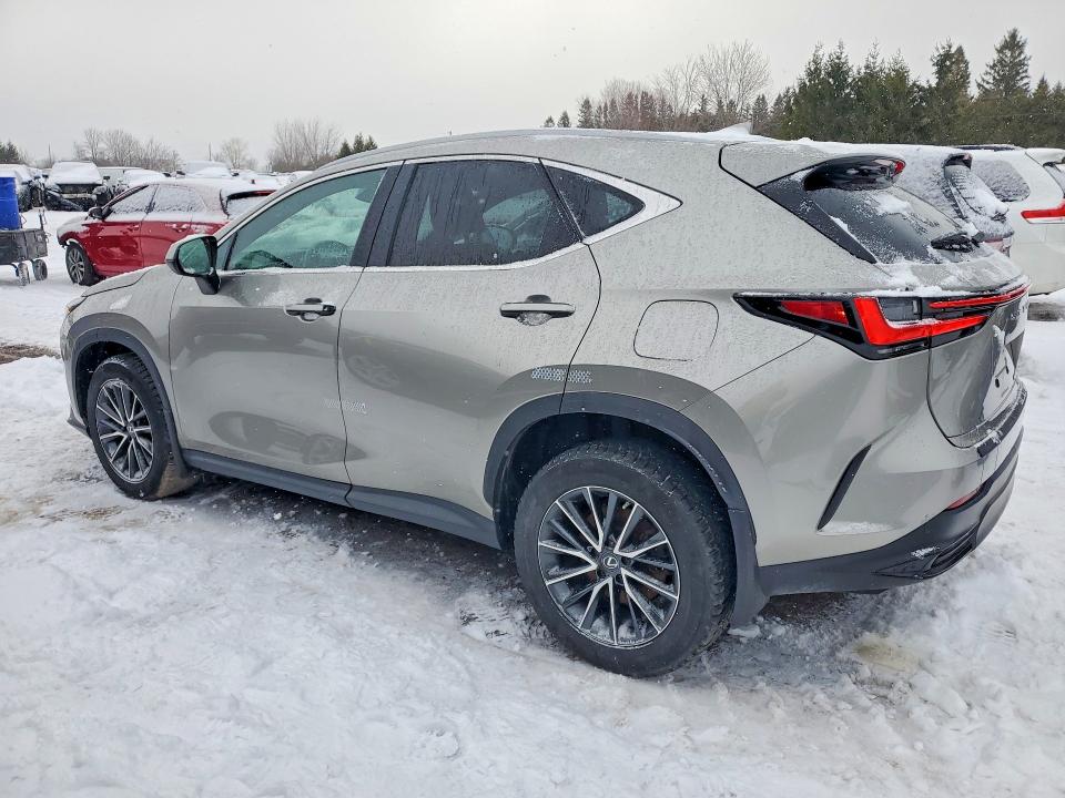 77348315 :رقم المزاد ، 2T2GKCEZ7PC011283 vin ، 2023 Lexus Nx مزاد بيع