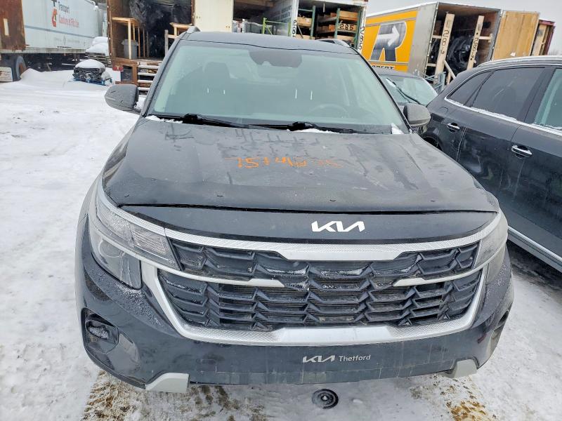 Продаж на аукціоні авто 2025 Kia Seltos, vin: KNDEPCAA8S7688799, номер лоту: 75741275