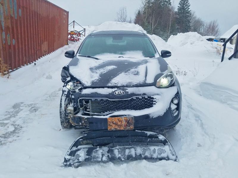 Продаж на аукціоні авто 2017 Kia Sportage, vin: KNDPNCACXH7045587, номер лоту: 76130105
