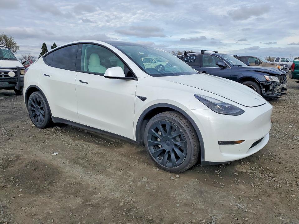 Aukcja sprzedaży 2023 Tesla Model Y, vin: 7SAYGDEE5PF627284, numer aukcji: 77241895