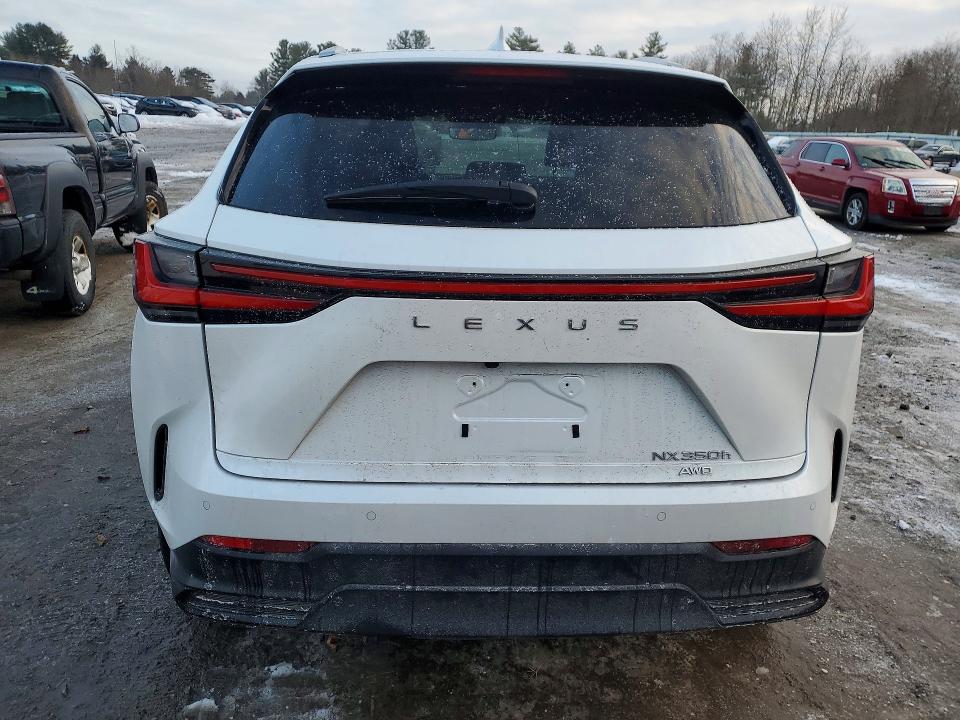 Aukcja sprzedaży 2023 Lexus Nx, vin: 2T2GKCEZ5PC009919, numer aukcji: 76421745