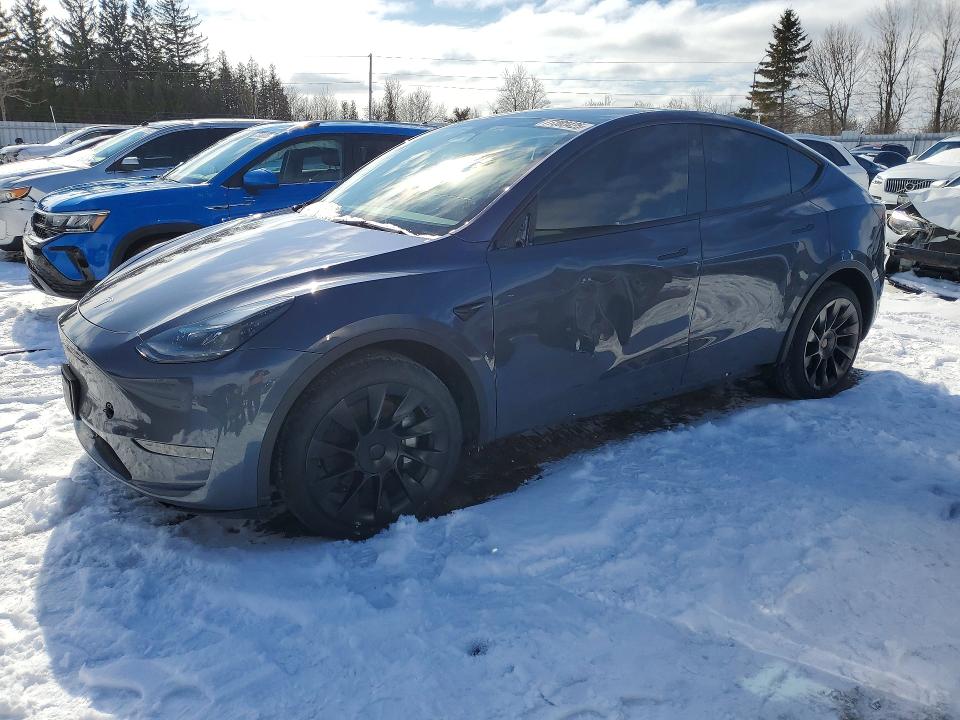 Продажа на аукционе авто 2023 Tesla Model Y, vin: 7SAYGDEE2PF775120, номер лота: 77303425