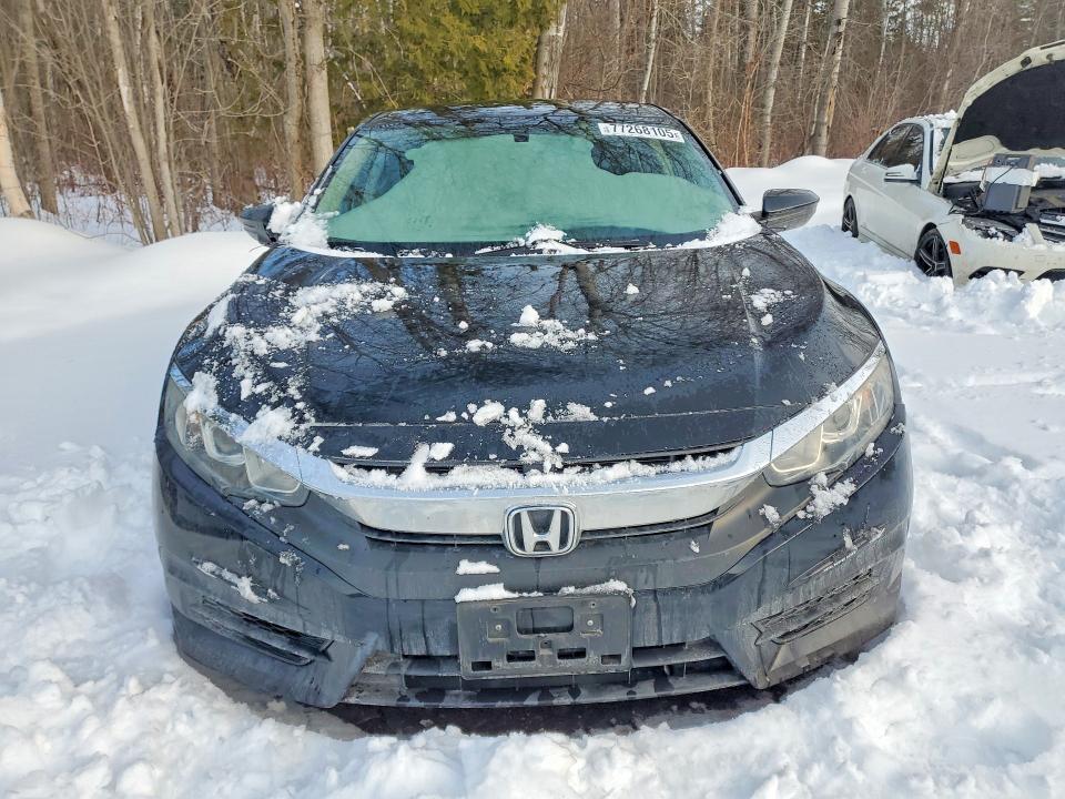 77268105 :رقم المزاد ، 2HGFC2F51HH007435 vin ، 2017 Honda Civic مزاد بيع