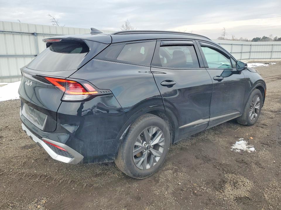 Продаж на аукціоні авто 2024 Kia Sportage, vin: 5XYK43DF8RG141046, номер лоту: 79027715