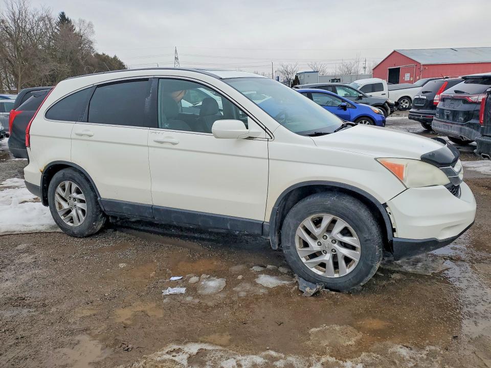 77082355 :رقم المزاد ، 5J6RE4H54AL804926 vin ، 2010 Honda Cr-v مزاد بيع