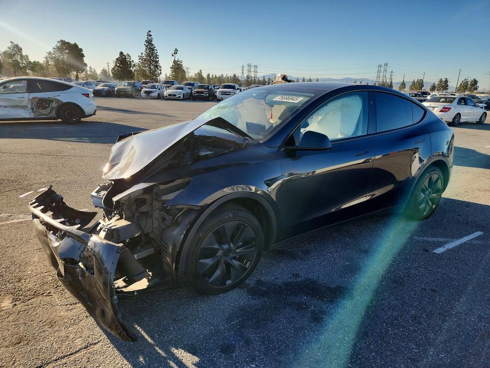 Aukcja sprzedaży 2025 Tesla Model Y, vin: 7SAYGDED4SF217172, numer aukcji: 75696945