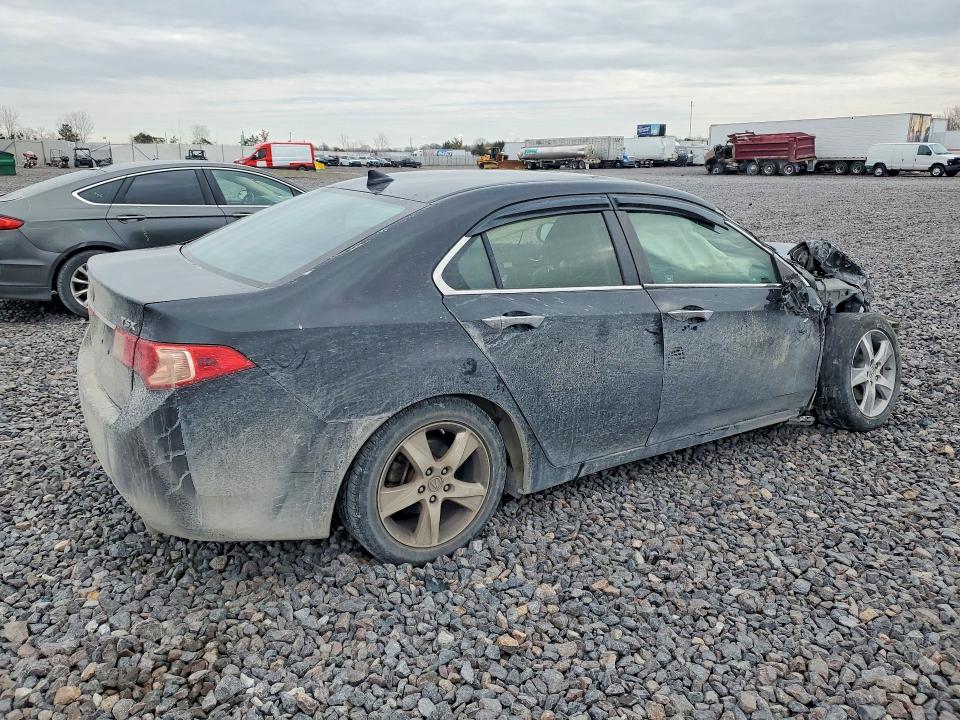 Продаж на аукціоні авто 2011 Acura Tsx, vin: JH4CU2F63BC013348, номер лоту: 79207735