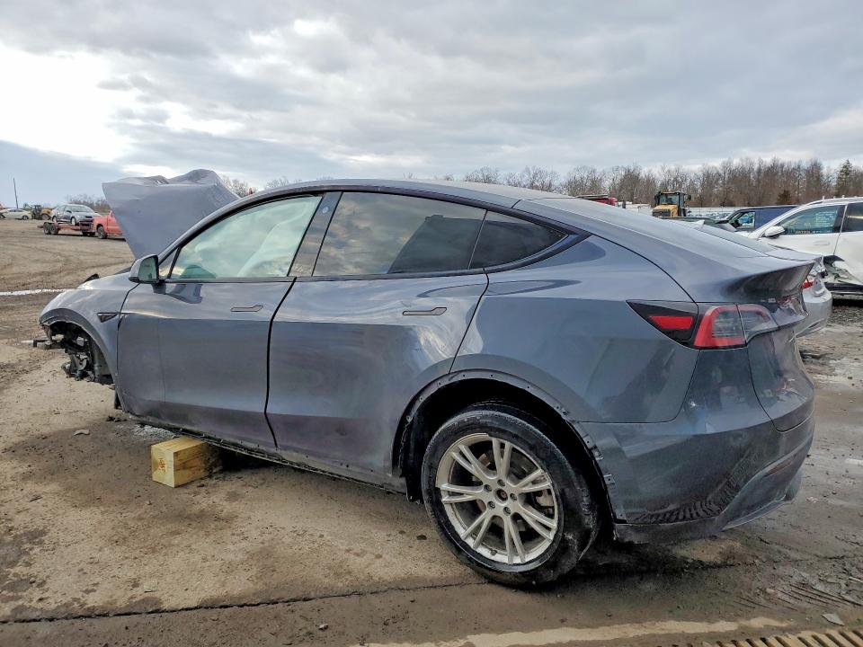 Продаж на аукціоні авто 2023 Tesla Model Y, vin: 7SAYGDEE3PA032544, номер лоту: 76851775
