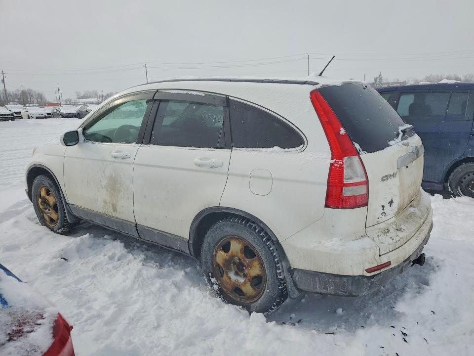 2011 Honda Cr-v Ex მანქანა იყიდება აუქციონზე, vin: 5J6RE4H58BL814750, აუქციონის ნომერი: 76827435