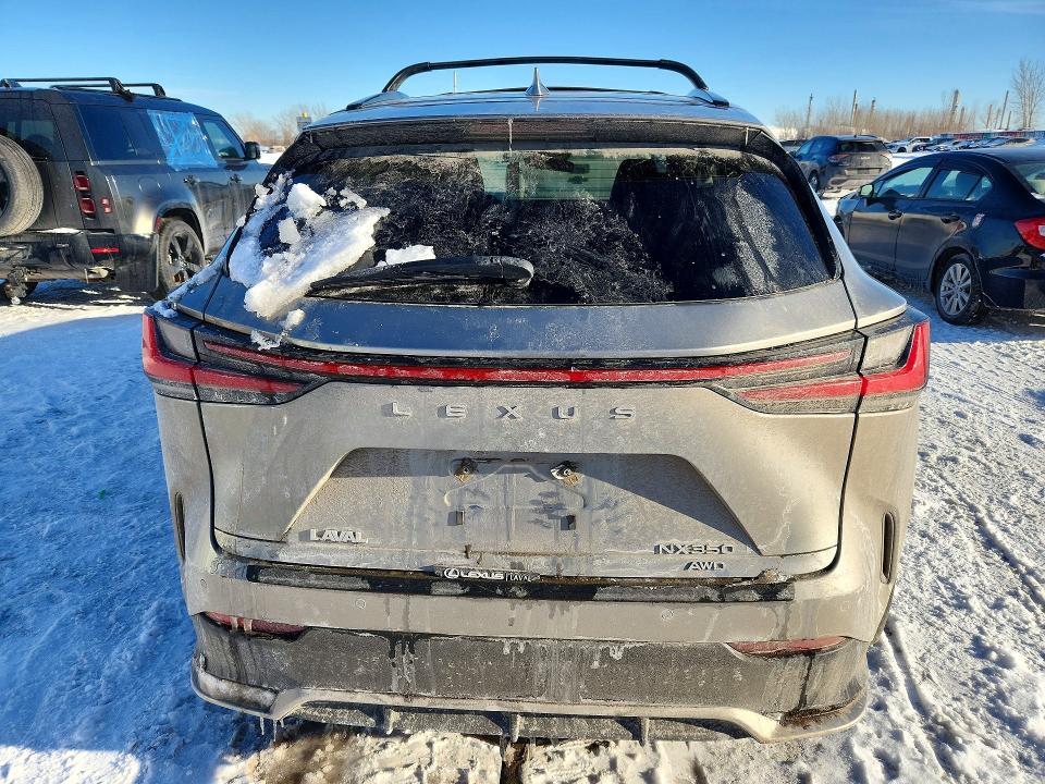 Продаж на аукціоні авто 2024 Lexus Nx, vin: 2T2KGCEZ0RC048240, номер лоту: 77090355
