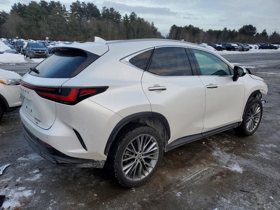 Aukcja sprzedaży 2023 Lexus Nx, vin: 2T2GKCEZ5PC009919, numer aukcji: 76421745