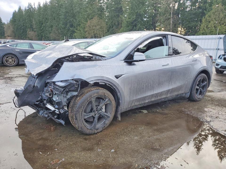 Продаж на аукціоні авто 2026 Tesla Model Y, vin: 7SAYGDEE8TF426702, номер лоту: 77808005