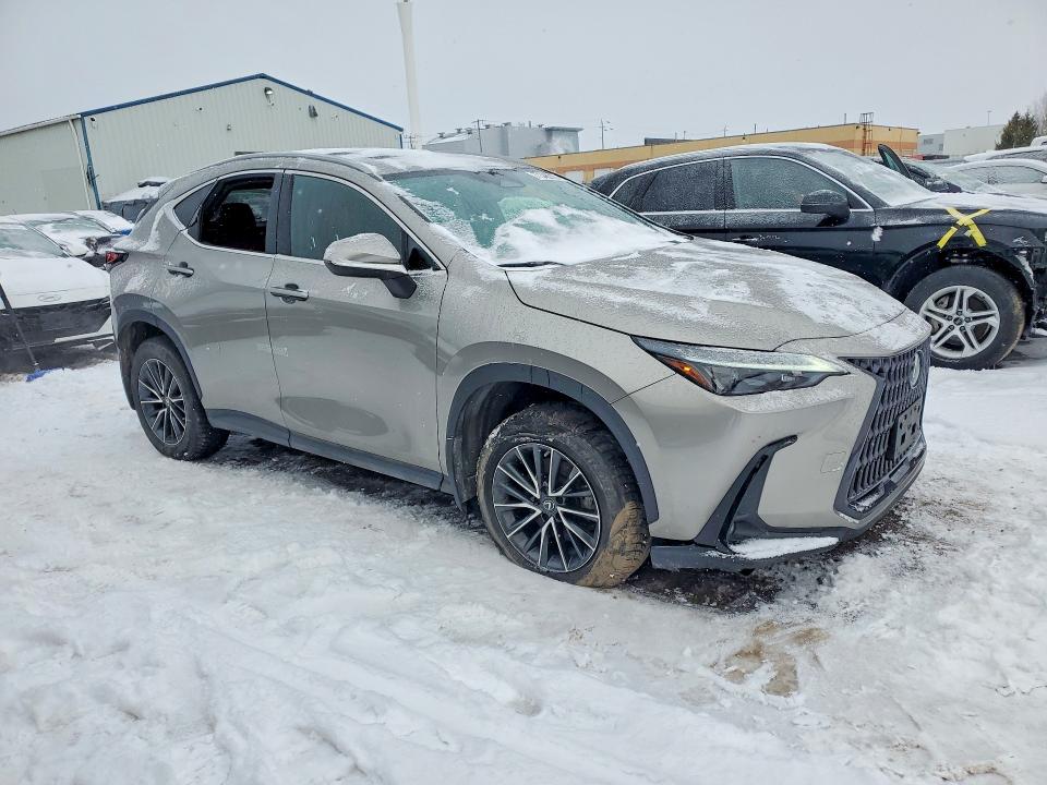 77348315 :رقم المزاد ، 2T2GKCEZ7PC011283 vin ، 2023 Lexus Nx مزاد بيع
