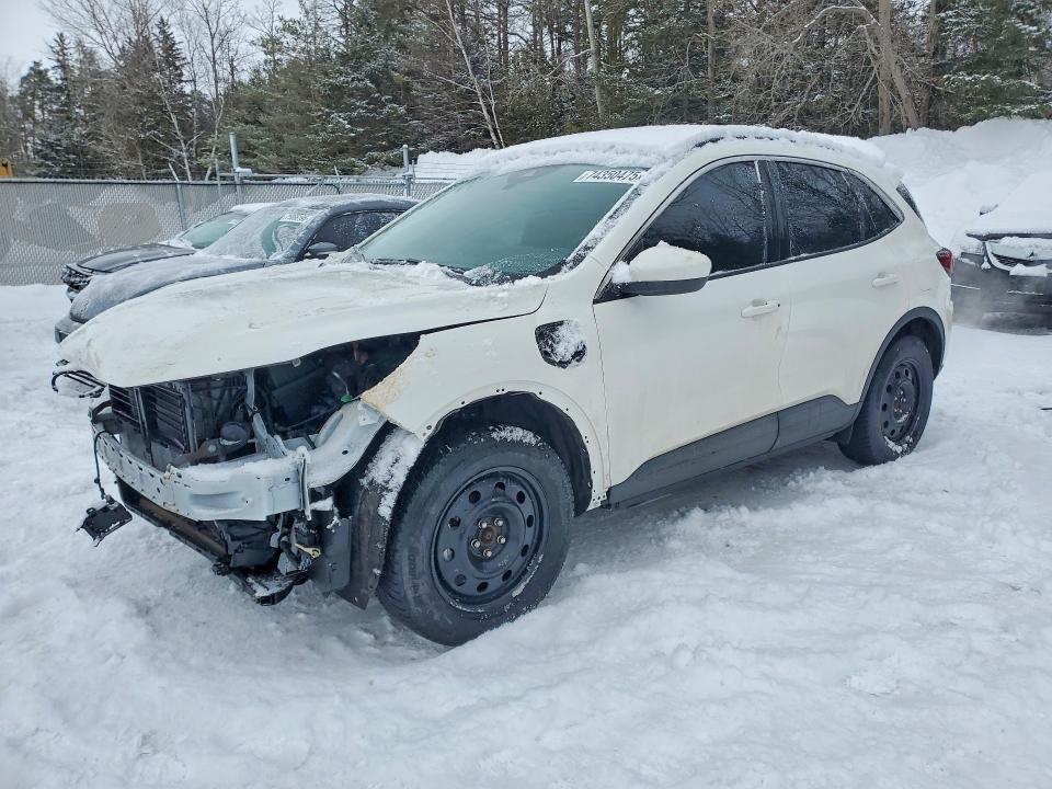 Aukcja sprzedaży 2024 Ford Escape, vin: 1FMCU0E17RUB11360, numer aukcji: 74350475