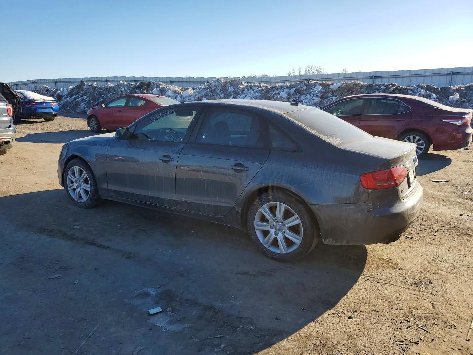 Продаж на аукціоні авто 2010 Audi A4, vin: WAUBFAFL5AN032149, номер лоту: 99706695
