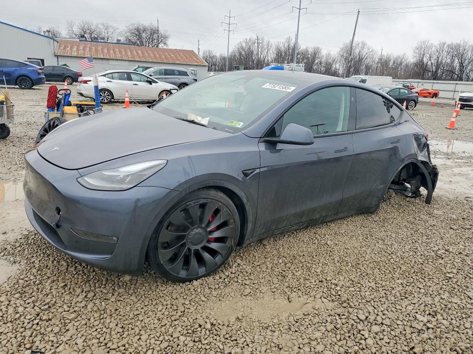 Продажа на аукционе авто 2023 Tesla Model Y, vin: 7SAYGDEF0PF909714, номер лота: 77521585