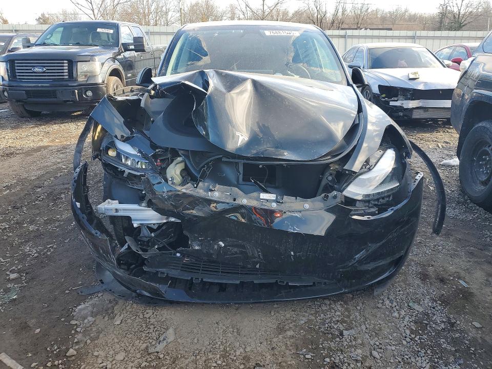 Продаж на аукціоні авто 2024 Tesla Model Y, vin: 7SAYGDEE2RA331039, номер лоту: 76881535