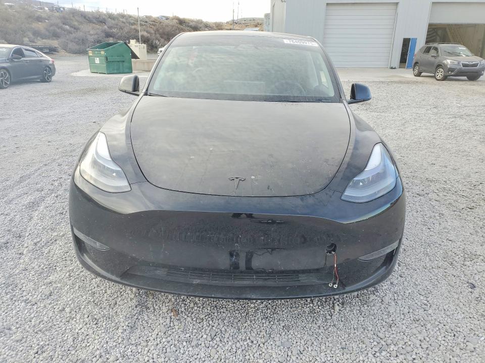 Продаж на аукціоні авто 2024 Tesla Model Y, vin: 7SAYGDEE5RF202327, номер лоту: 76409975