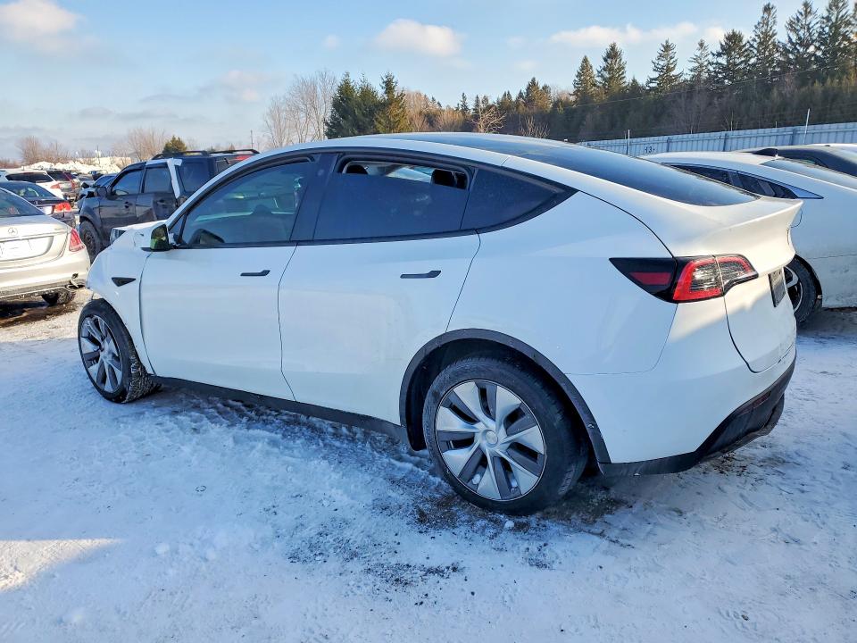 74549135 :رقم المزاد ، LRWYGDEE0PC027277 vin ، 2023 Tesla Model Y مزاد بيع