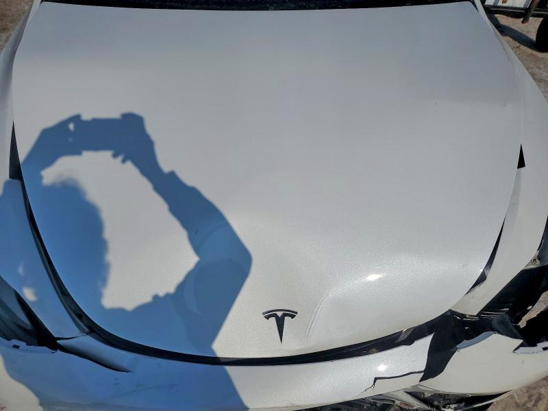 75509005 :رقم المزاد ، 7SAYGAEE5PF762666 vin ، 2023 Tesla Model Y مزاد بيع