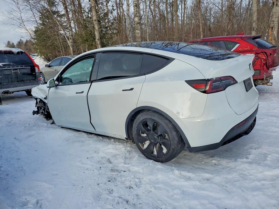 2024 Tesla Model Y მანქანა იყიდება აუქციონზე, vin: 7SAYGDED0RF990070, აუქციონის ნომერი: 73662275