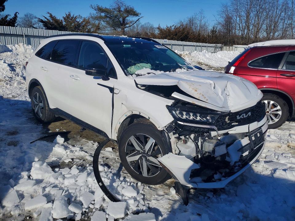 Aukcja sprzedaży 2023 Kia Sorento, vin: 5XYRL4LC1PG173624, numer aukcji: 74954525