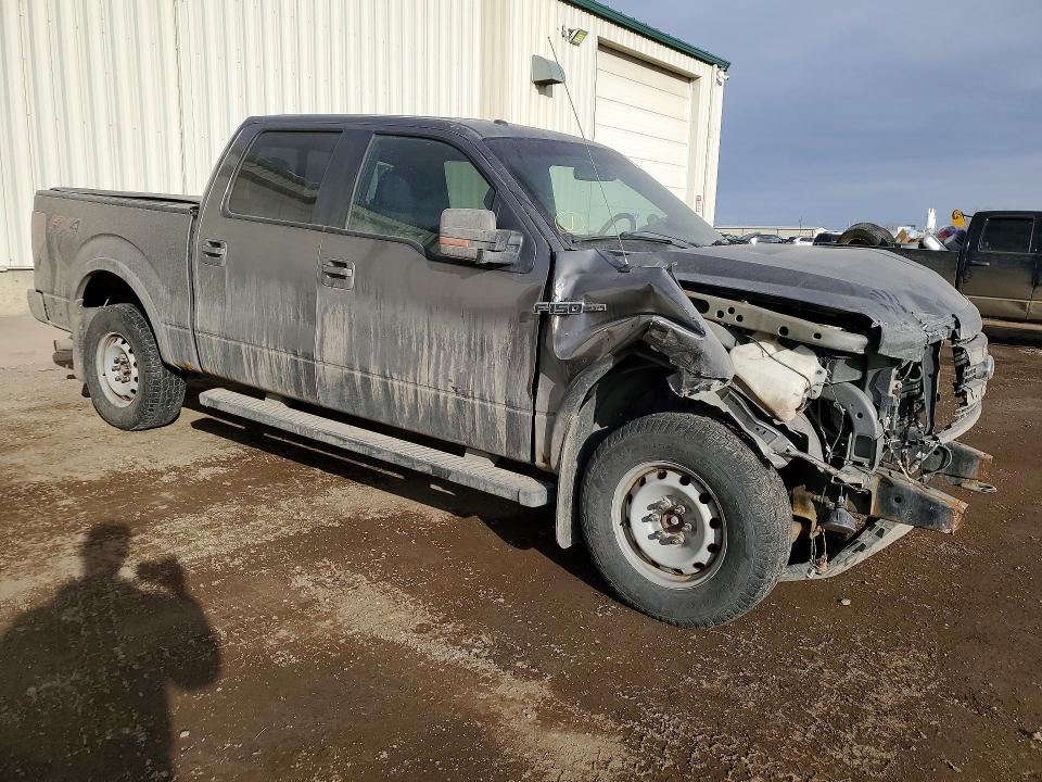 75312345 :رقم المزاد ، 1FTFW1EF9EFB21755 vin ، 2014 Ford F150 مزاد بيع