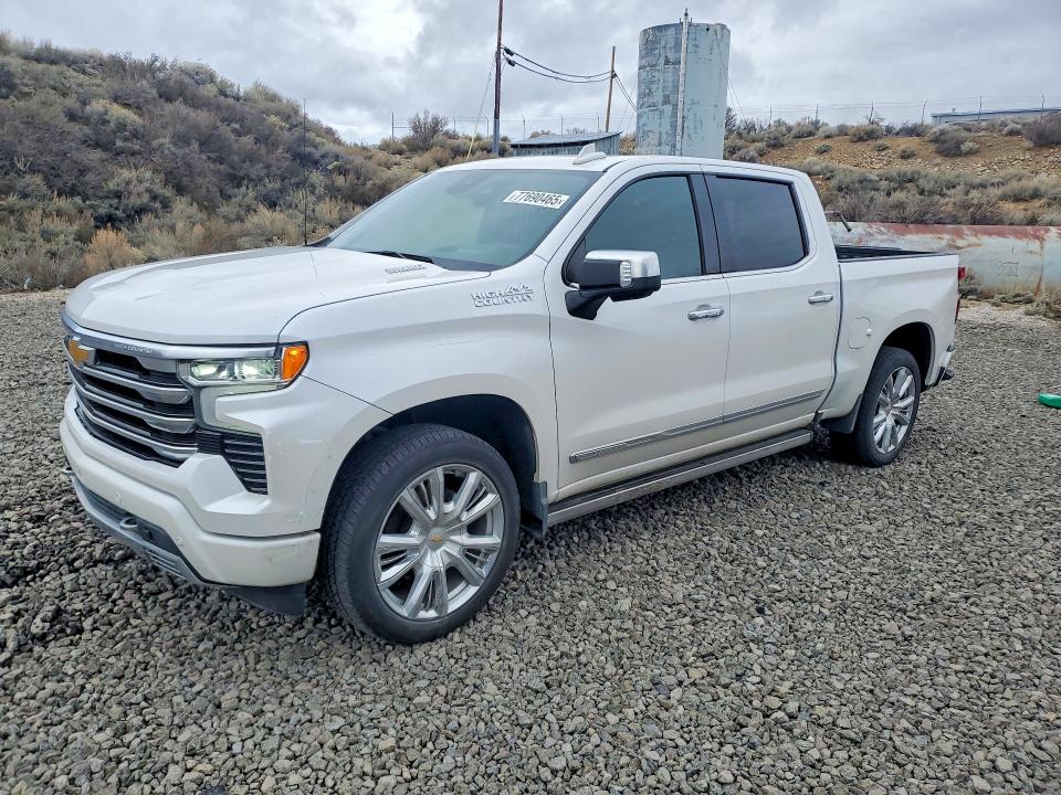 Aukcja sprzedaży 2023 Chevrolet Silverado, vin: 3GCUDJE87PG310095, numer aukcji: 77690465